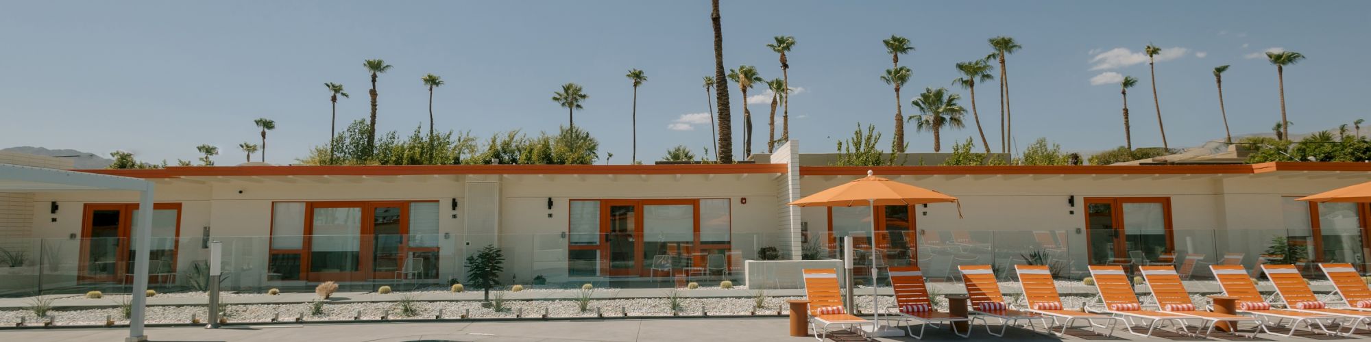 The image shows a swimming pool surrounded by orange lounge chairs and umbrellas, set against a background of palm trees and a mid-century modern building.