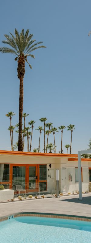 A mid-century modern building with large windows and an outdoor swimming pool, surrounded by tall palm trees under a clear, blue sky.