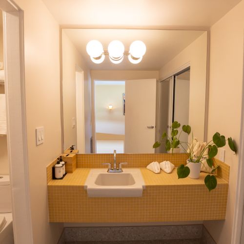 This image shows a bathroom with a yellow countertop, sink, towels, toiletries, large mirror, toilet, plant decor, and overhead lighting.